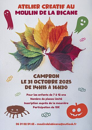 Agrandir l'image, .JPG 479 Ko (fenêtre modale)