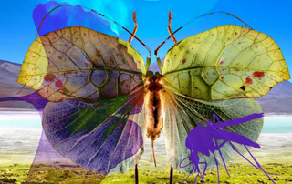 Agrandir l'image, .PNG 561 Ko (fenêtre modale)